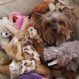 Meet your Posher, Elizabeth